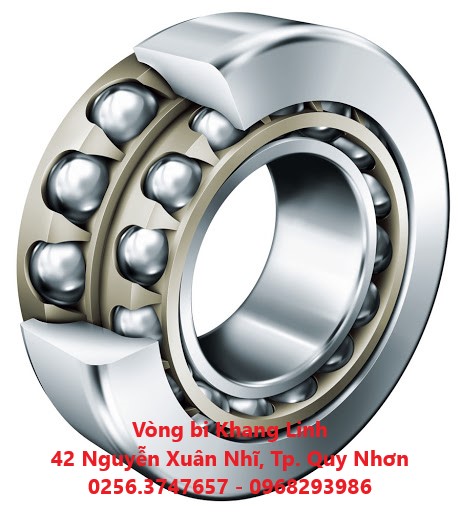 Bi cầu tiếp xúc góc 2 dãy